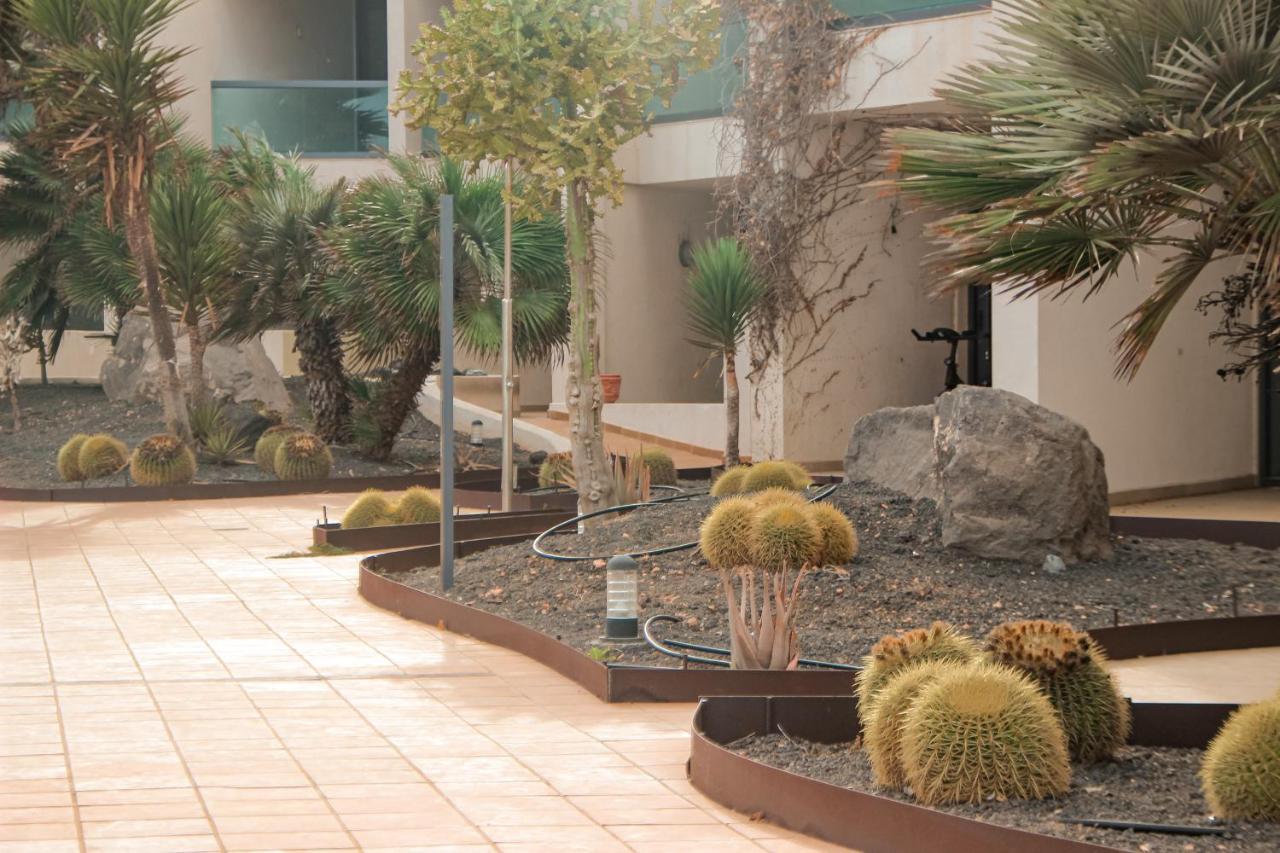 Casa Aloe Vera Cotillo Exterior foto